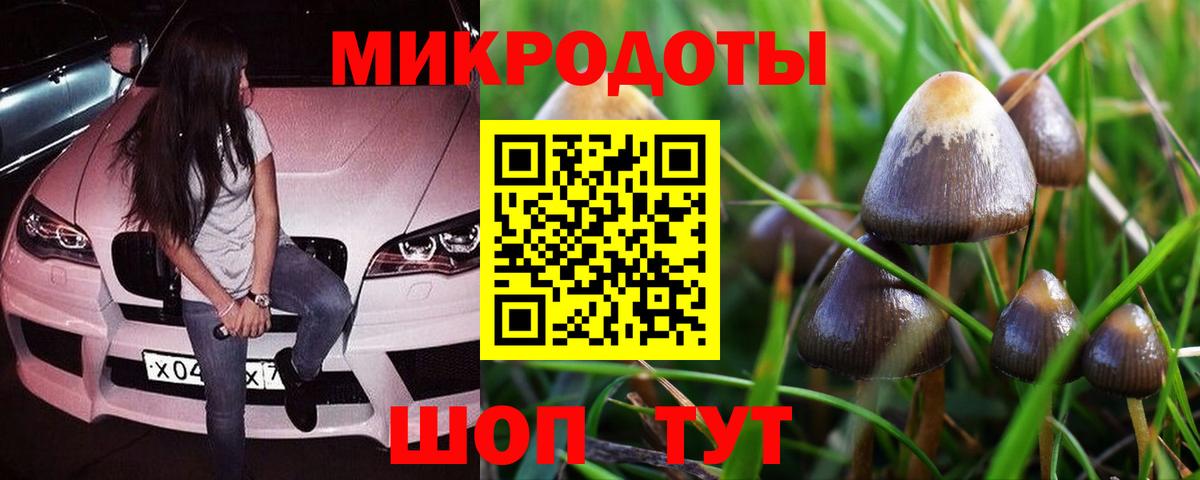 Галлюциногенные грибы GOLDEN TEACHER  Вход с VPN  Псилоцибиновые грибы Magic Shrooms  Семёнов 