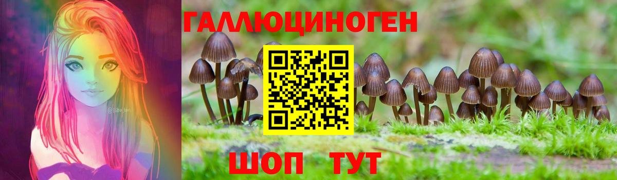 Галлюциногенные грибы Cubensis Семёнов
